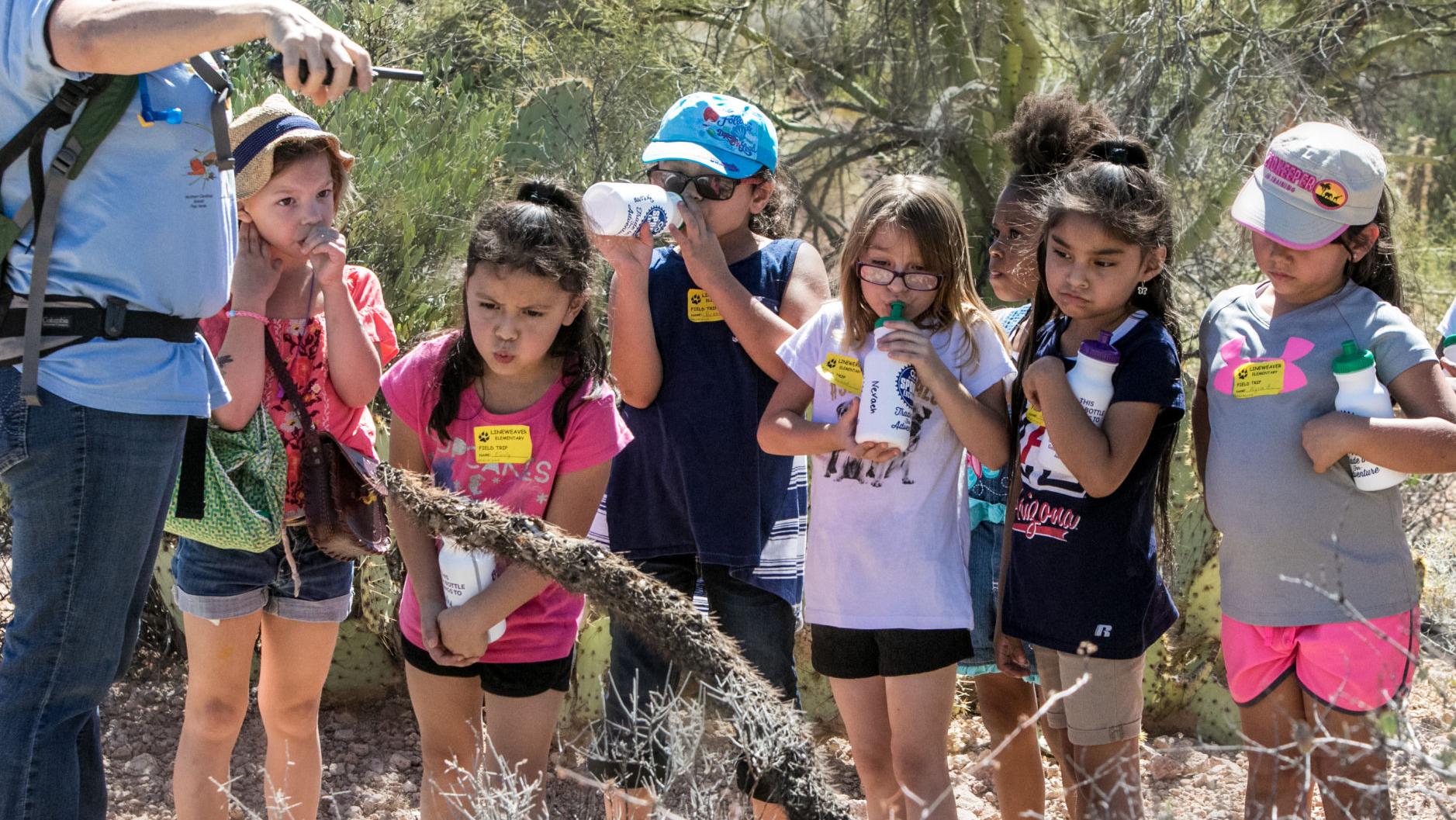 School field trips are few and far between as schools grapple with budget cuts